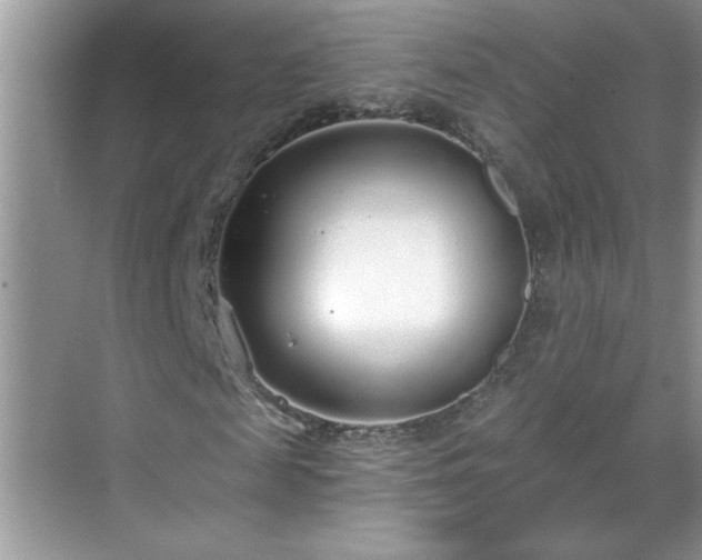 X0000069400817200605151016