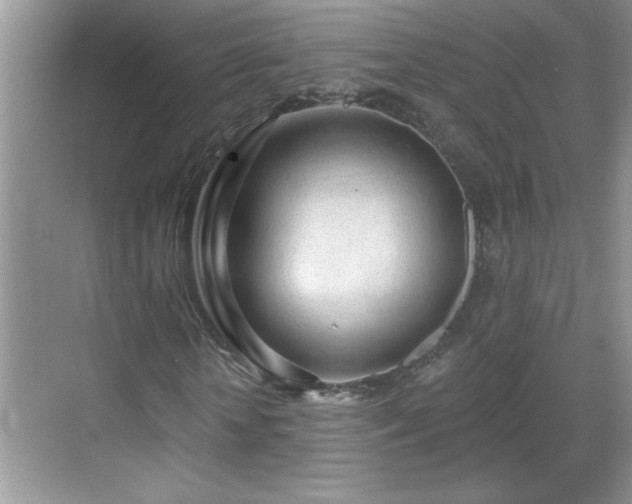X0000069400818200605151016