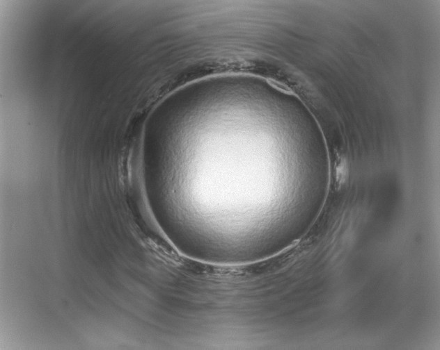 X0000069400819200605151016