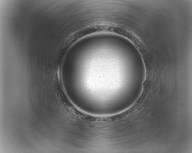 X0000069400821200605151016