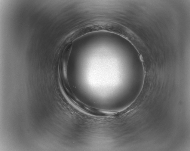 X0000069400822200605151016
