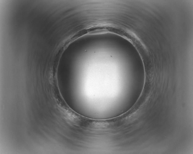 X0000069400825200605151016