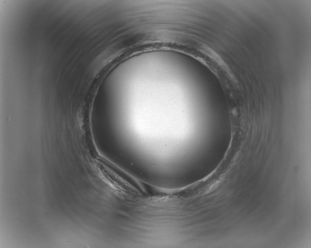 X0000069400826200605151016