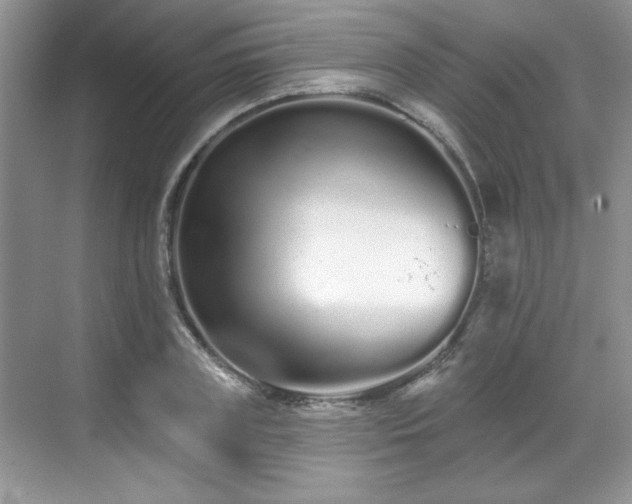 X0000069400835200605151016