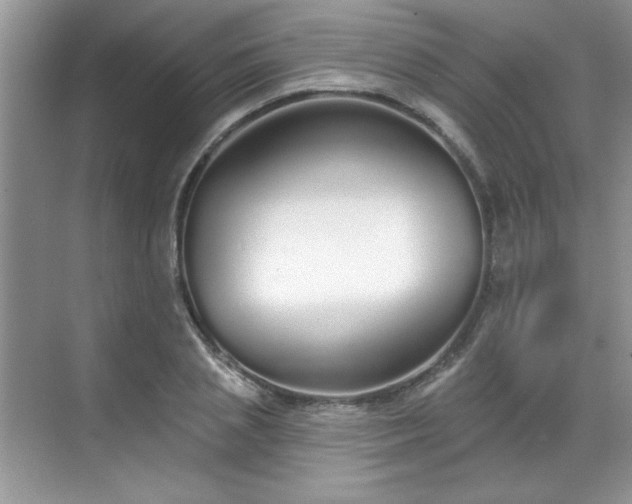 X0000069400837200605151016