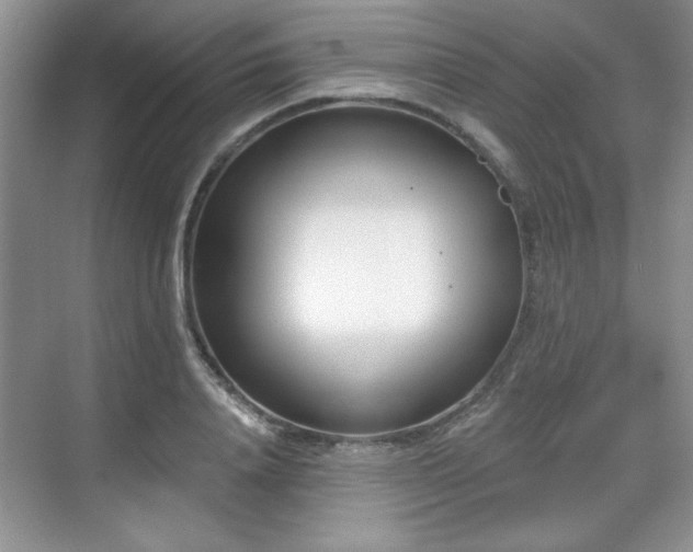 X0000069400840200605151016