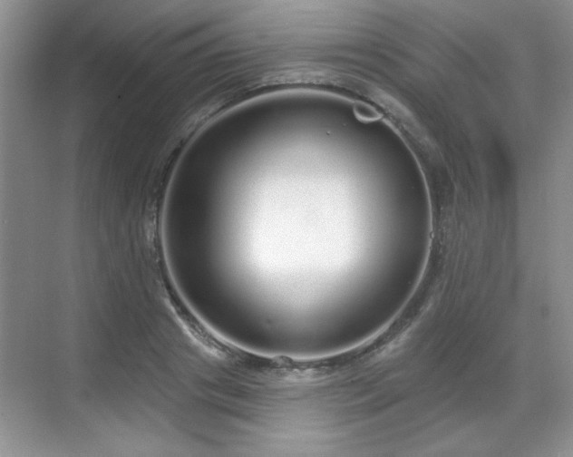 X0000069400841200605151016