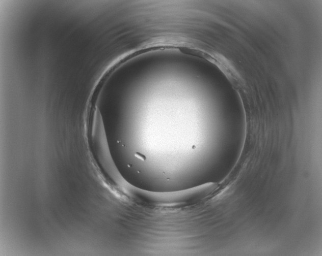 X0000069400846200605151017