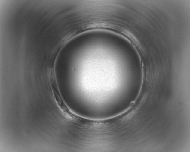 X0000069400849200605151017