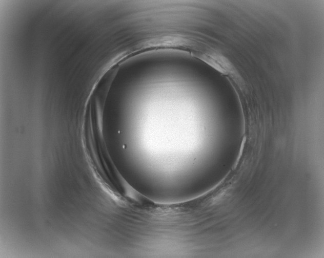 X0000069400850200605151017