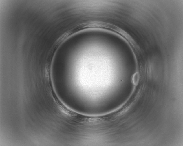 X0000069400857200605151017