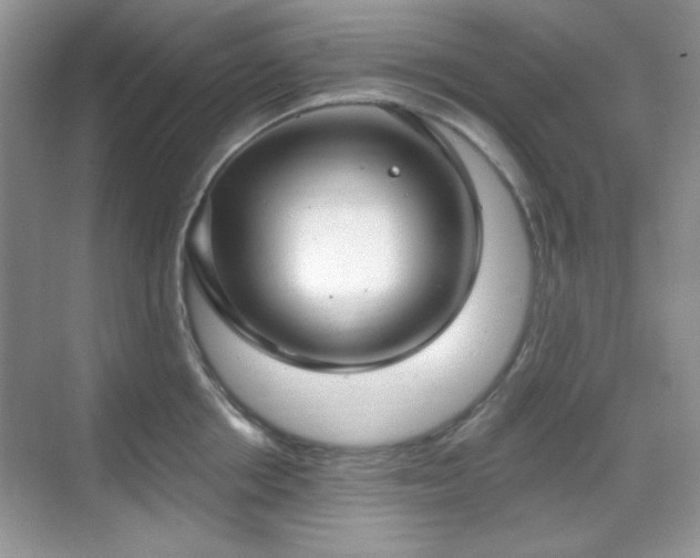X0000069400858200605151017