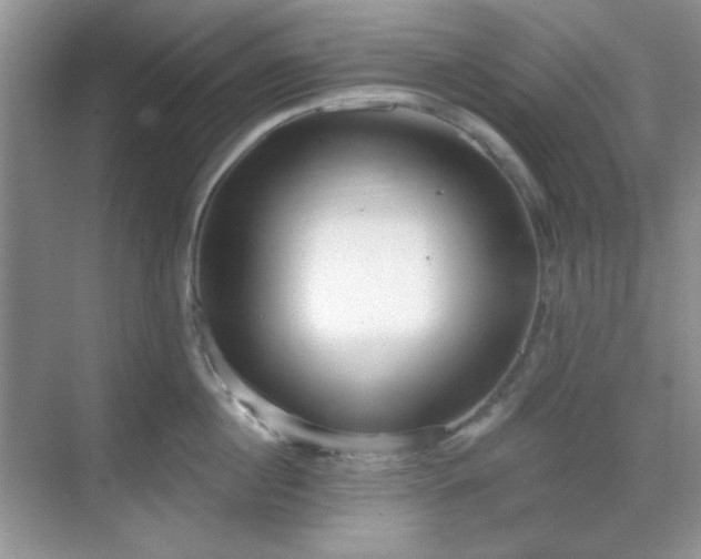X0000069400860200605151017