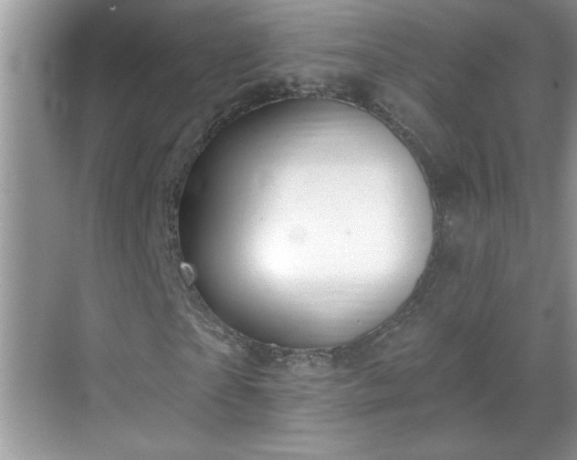 X0000069400865200605151016