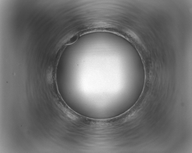X0000069400873200605151016