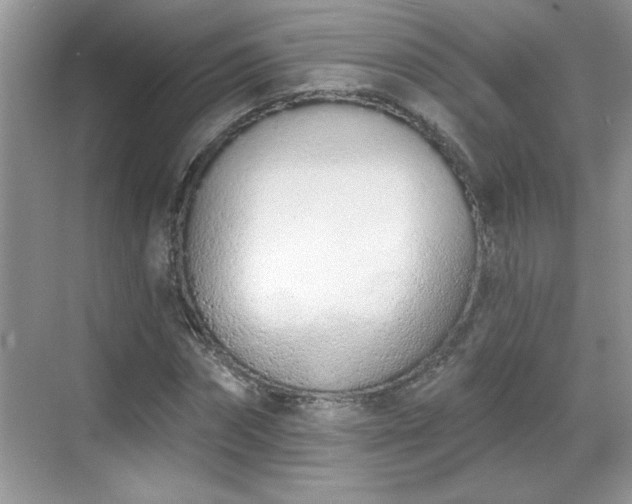 X0000069400874200605151016