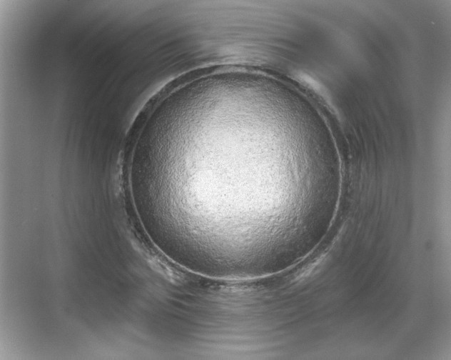 X0000069400875200605151016
