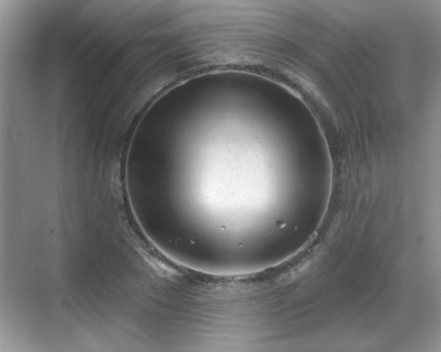 X0000069400881200605151016