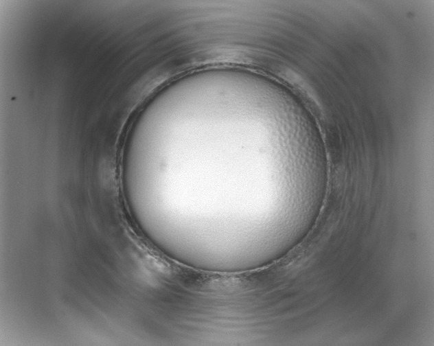X0000069400882200605151016