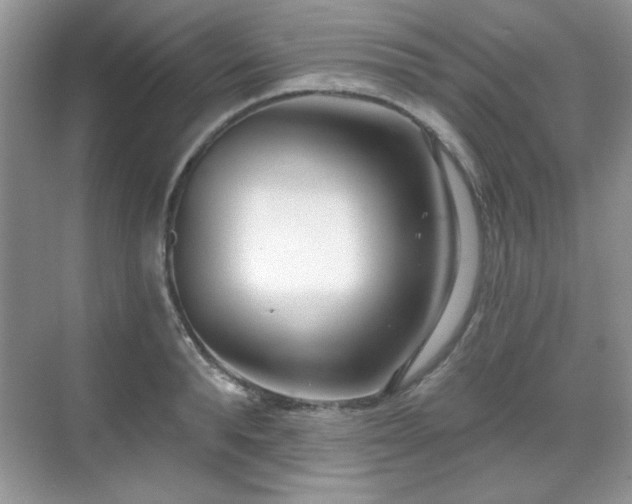 X0000069400896200605151016
