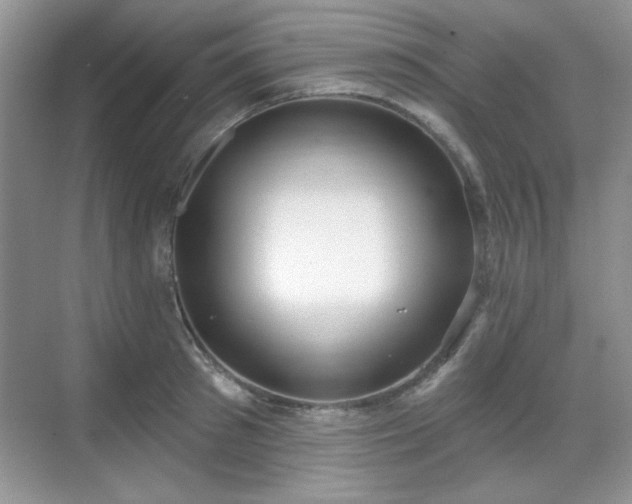 X0000069400897200605151016