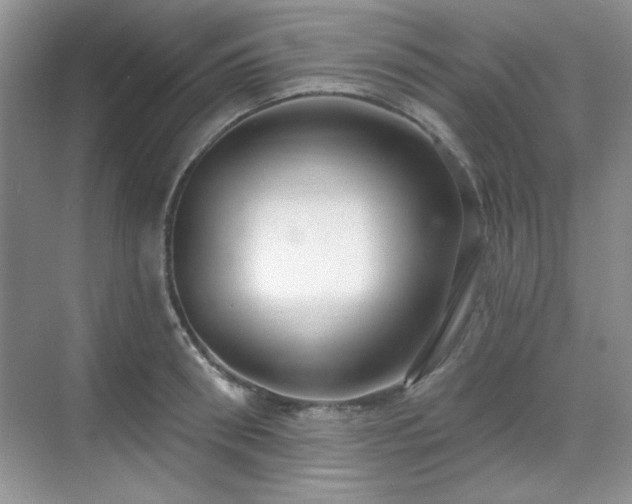X0000069400898200605151015