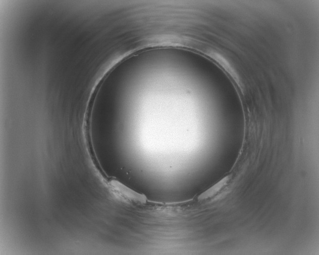 X0000069400901200605151015