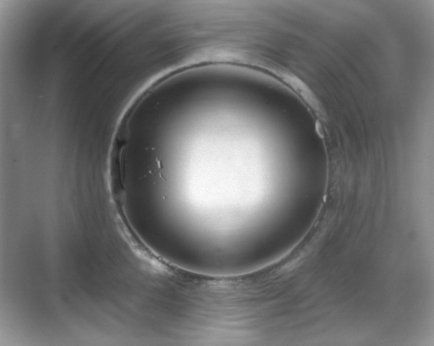X0000069400904200605151015