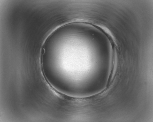 X0000069400910200605151015