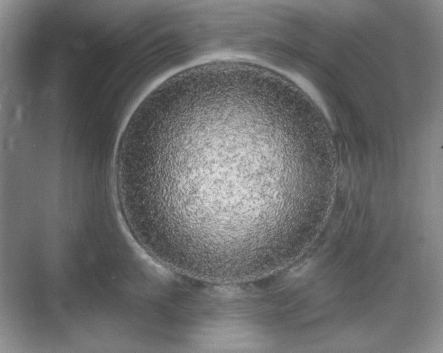 X0000069400911200605151015
