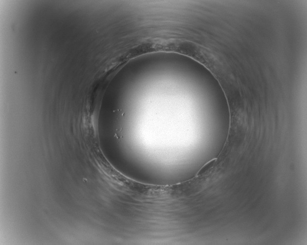 X0000069400914200605151014