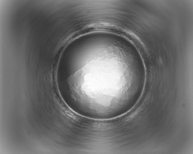 X0000069400921200605151015
