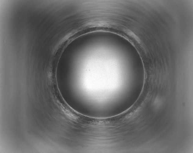 X0000069400922200605151015