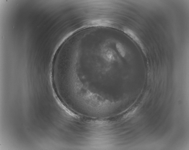 X0000069400941200605151015