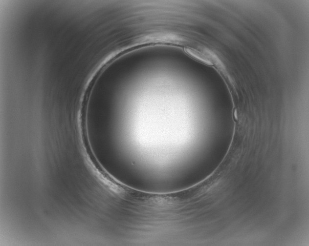 X0000069400947200605151015