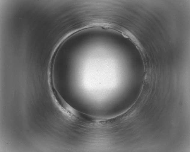 X0000069400955200605151015