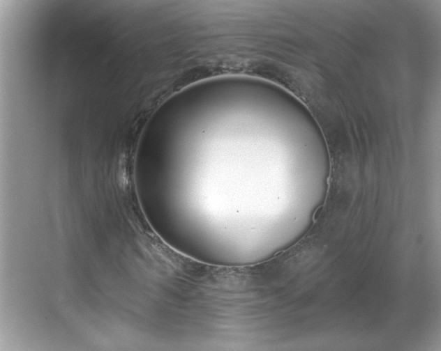X0000069400962200605151014