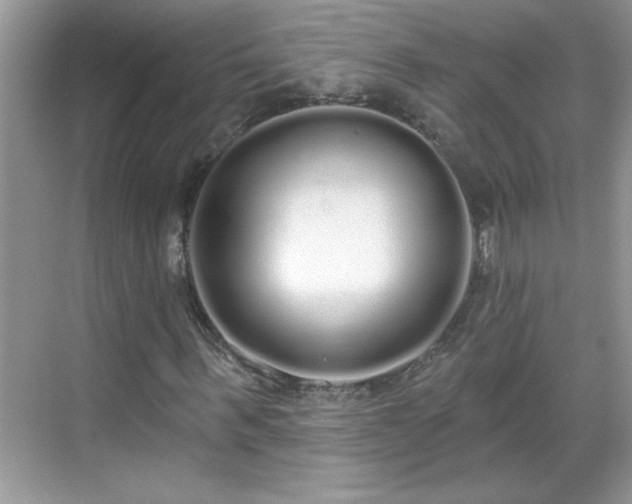 X0000069400963200605151014