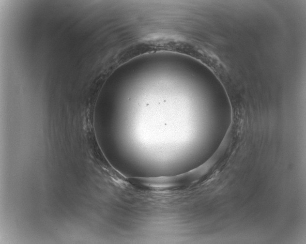 X0000069400965200605151014