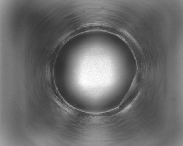 X0000069400969200605151014