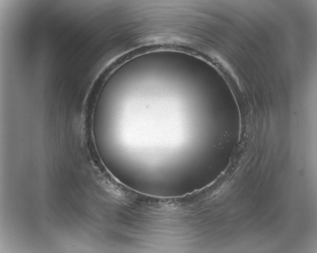 X0000069400975200605151014