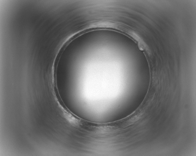 X0000069400988200605151014