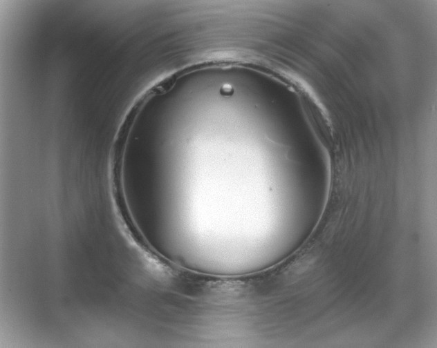 X0000069400991200605151014