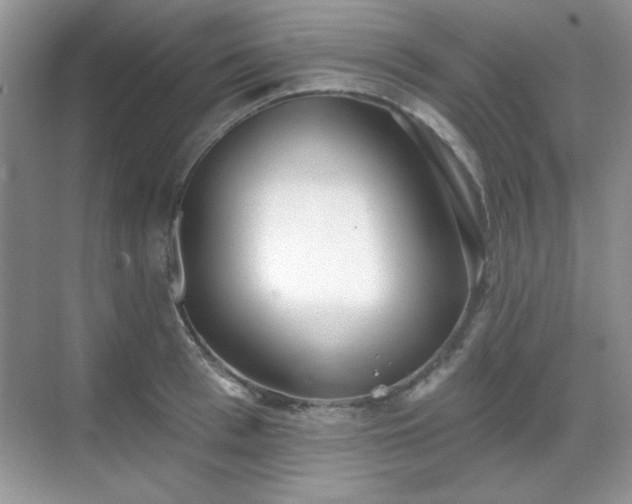 X0000069400993200605151014