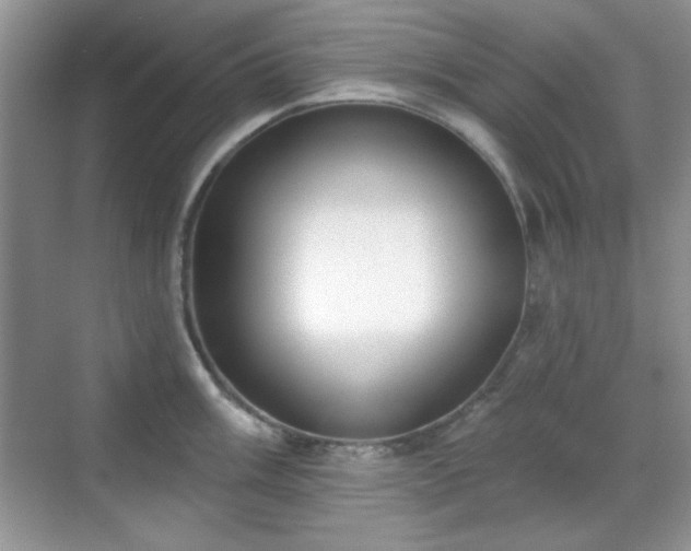 X0000069401003200605151014