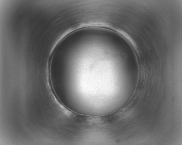 X0000069401006200605151014