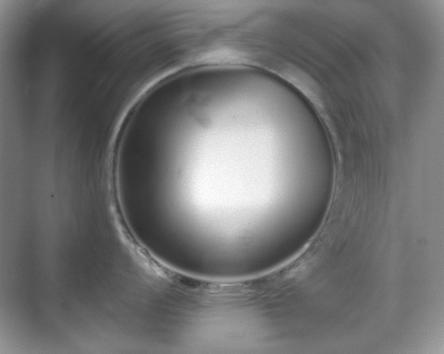 X0000069401008200605151014