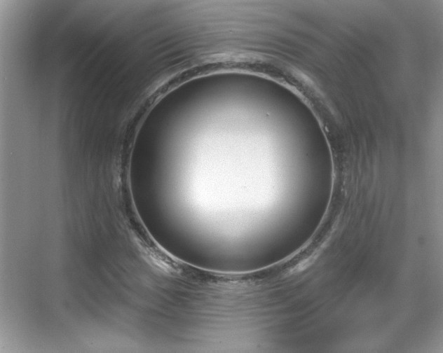 X0000069401017200605151013
