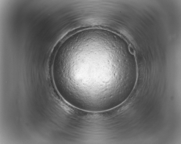X0000069401023200605151013