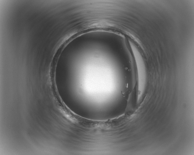 X0000069401026200605151013
